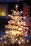 pic for Christmas Tree 